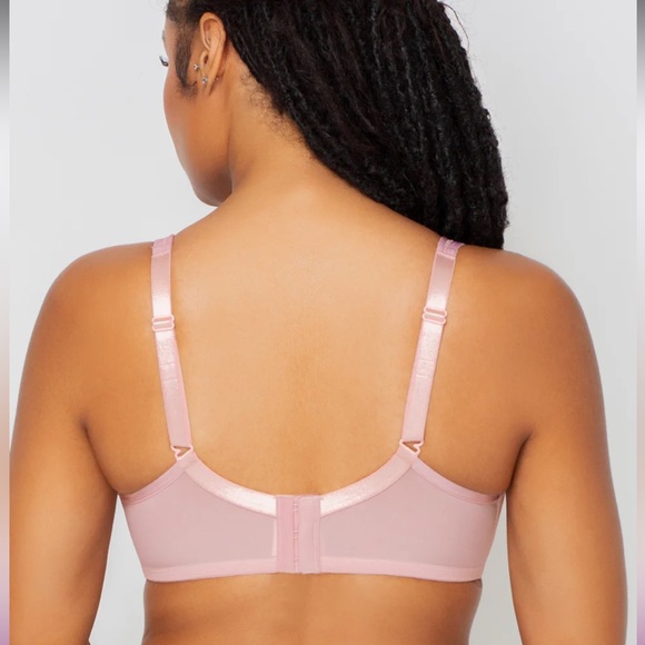 NEW with tags Sexy Sheer Mesh Plus Size Plunge T Shirt Bra 42DDD Blushing Rose - Picture 2 of 9